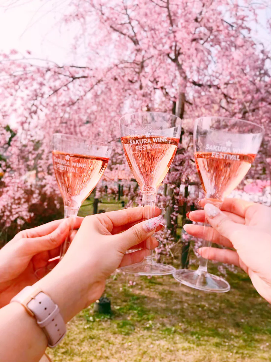 Sparkling Wine Sakura: Rượu hoa anh đào của Nhật Bản