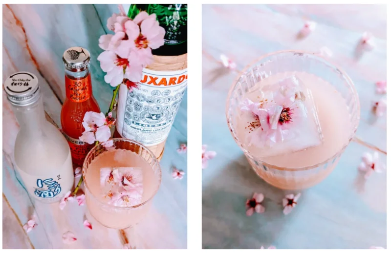 Sparkling Wine Sakura: Rượu hoa anh đào của Nhật Bản