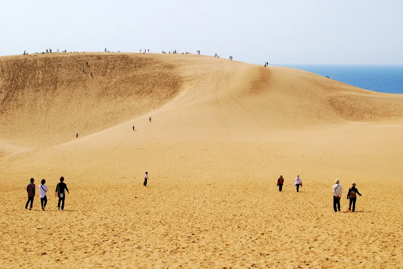 Tottori Sand Dunes: Sa Mạc Thu Nhỏ Giữa Lòng Nhật Bản
