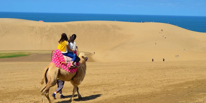 Tottori Sand Dunes: Sa Mạc Thu Nhỏ Giữa Lòng Nhật Bản