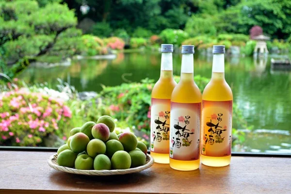 Rượu Mơ Umeshu