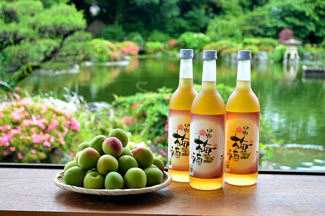 Rượu Mơ Umeshu
