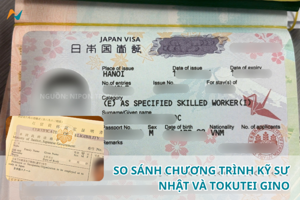 Chương trình Kỹ sư Nhật và Tokutei Gino: So sánh điều kiện, mức lương, quyền lợi và cơ hội phát triển